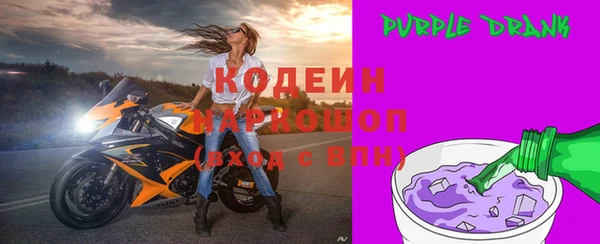 индика Богданович