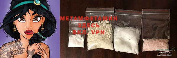 индика Богданович
