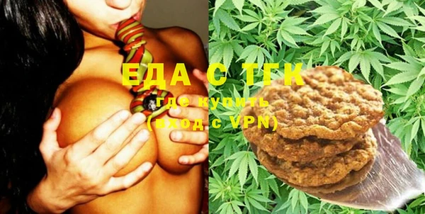 индика Богданович