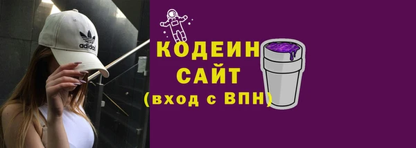 индика Богданович