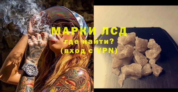 индика Богданович