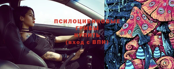 индика Богданович