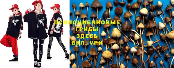 индика Богданович