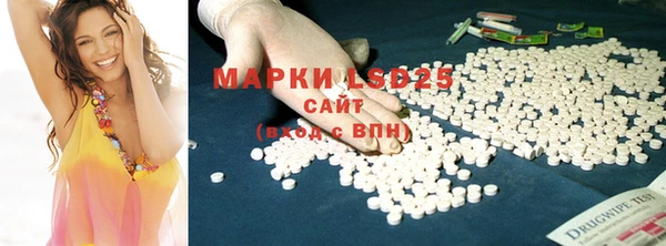 индика Богданович