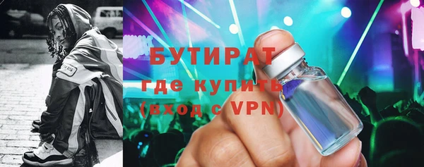 индика Богданович