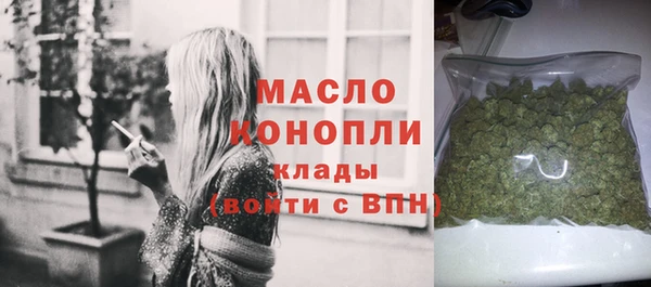 индика Богданович