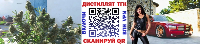 закладка Очёр ссылка на мегу ССЫЛКА Дистиллят ТГК вейп с тгк