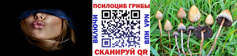 Галлюциногенные грибы ЛСД  Очёр 